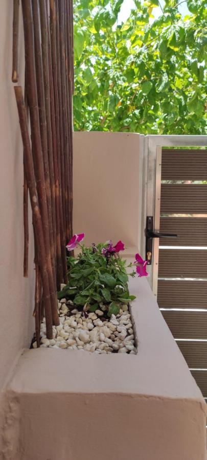 New 1.5km From The Center Of Chania *